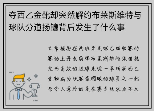 夺西乙金靴却突然解约布莱斯维特与球队分道扬镳背后发生了什么事